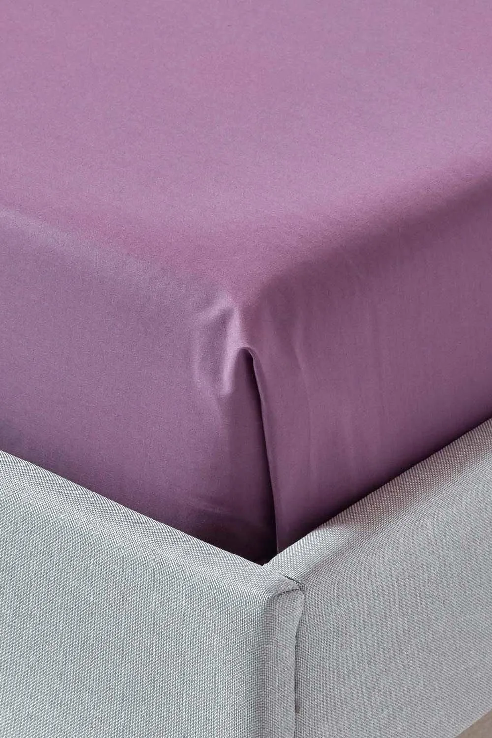 Homescapes Egyptian Cotton Flat Sheet 200 Thread Count in Grape 3