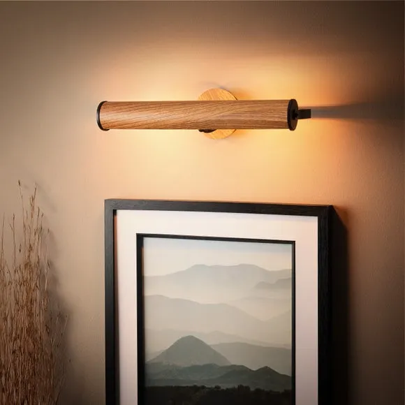 Fulton Adjustable Picture Light 2
