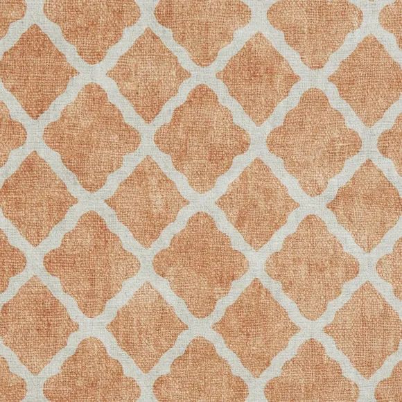 Coral H1063 Rug 2