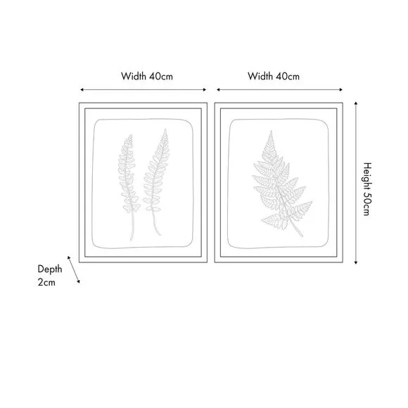 Set Of 2 Green & Natural Fern Framed Canvases 5