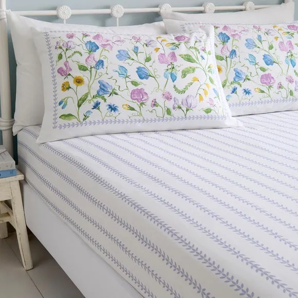 Dreams N Drapes Sweetpea Floral 100% Cotton Fitted Sheet 1