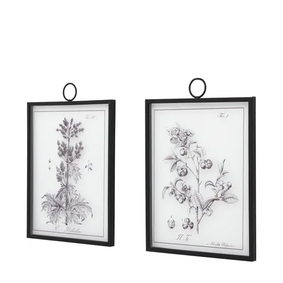 Cedar & Sage Set of 2 Petiole Framed Glass Wall Art 5