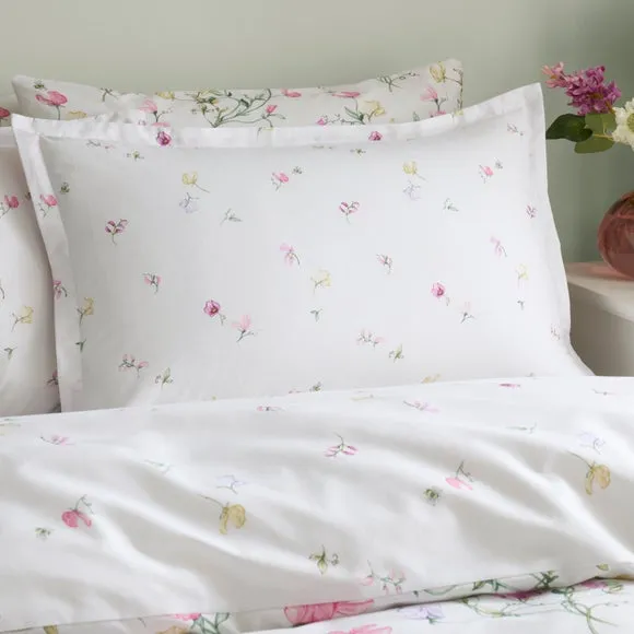 Raya Sweetpea Polycotton Oxford Pillowcase 2