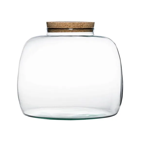 Bowl Shape Large Terrarium DIY Kit 2