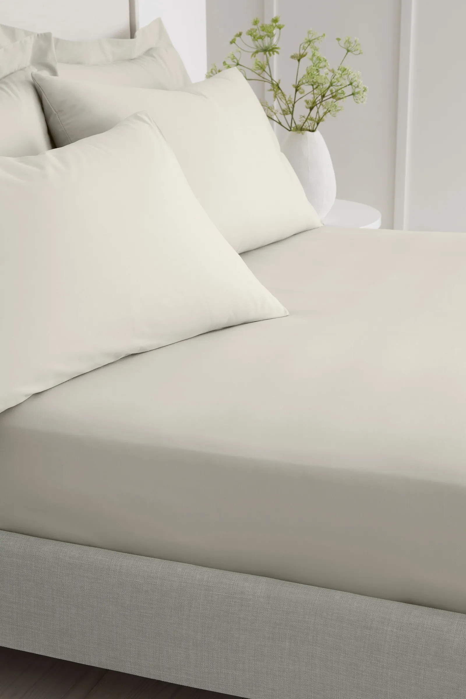 Bianca 200 Thread Count Cotton Percale 32cm Depth Sheet in Natural 2