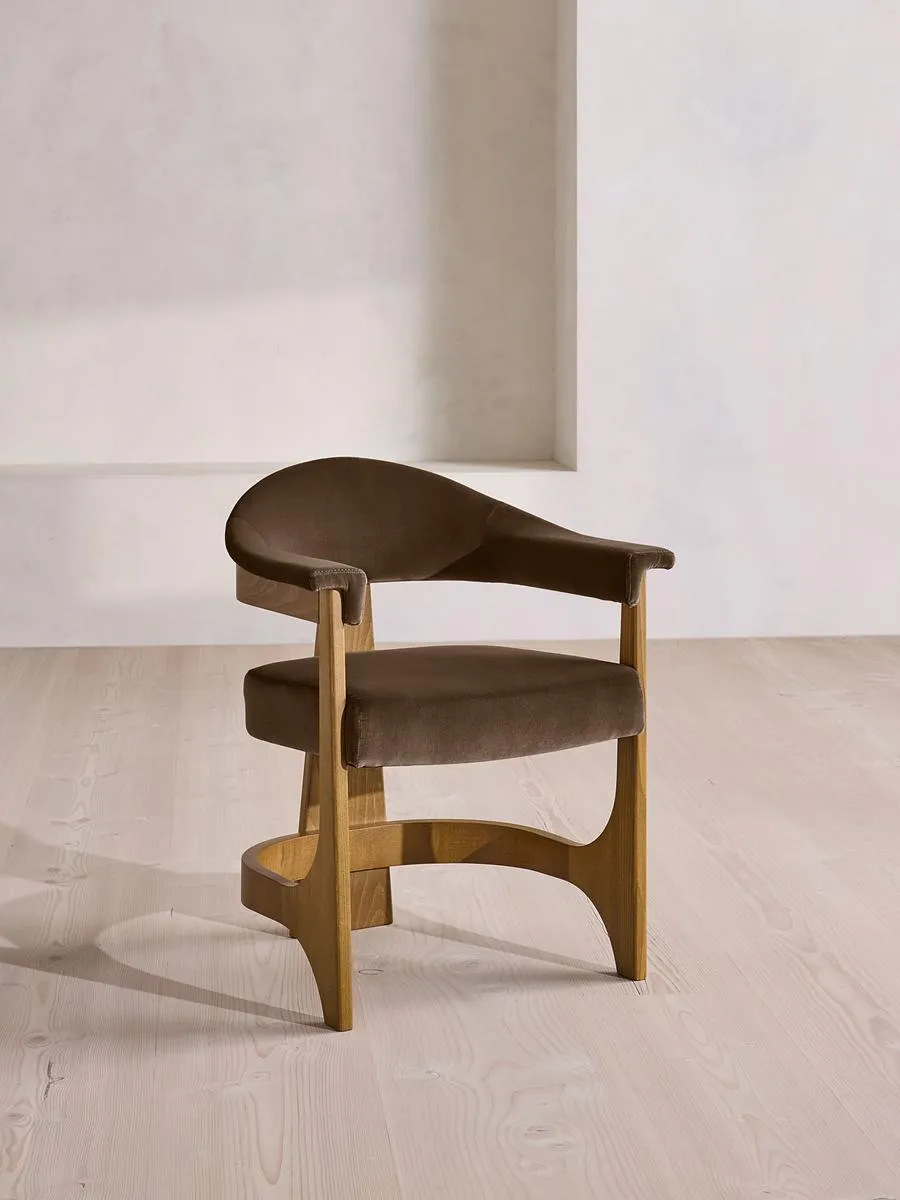 Georgina Dining Chair, Velvet, Chocolate