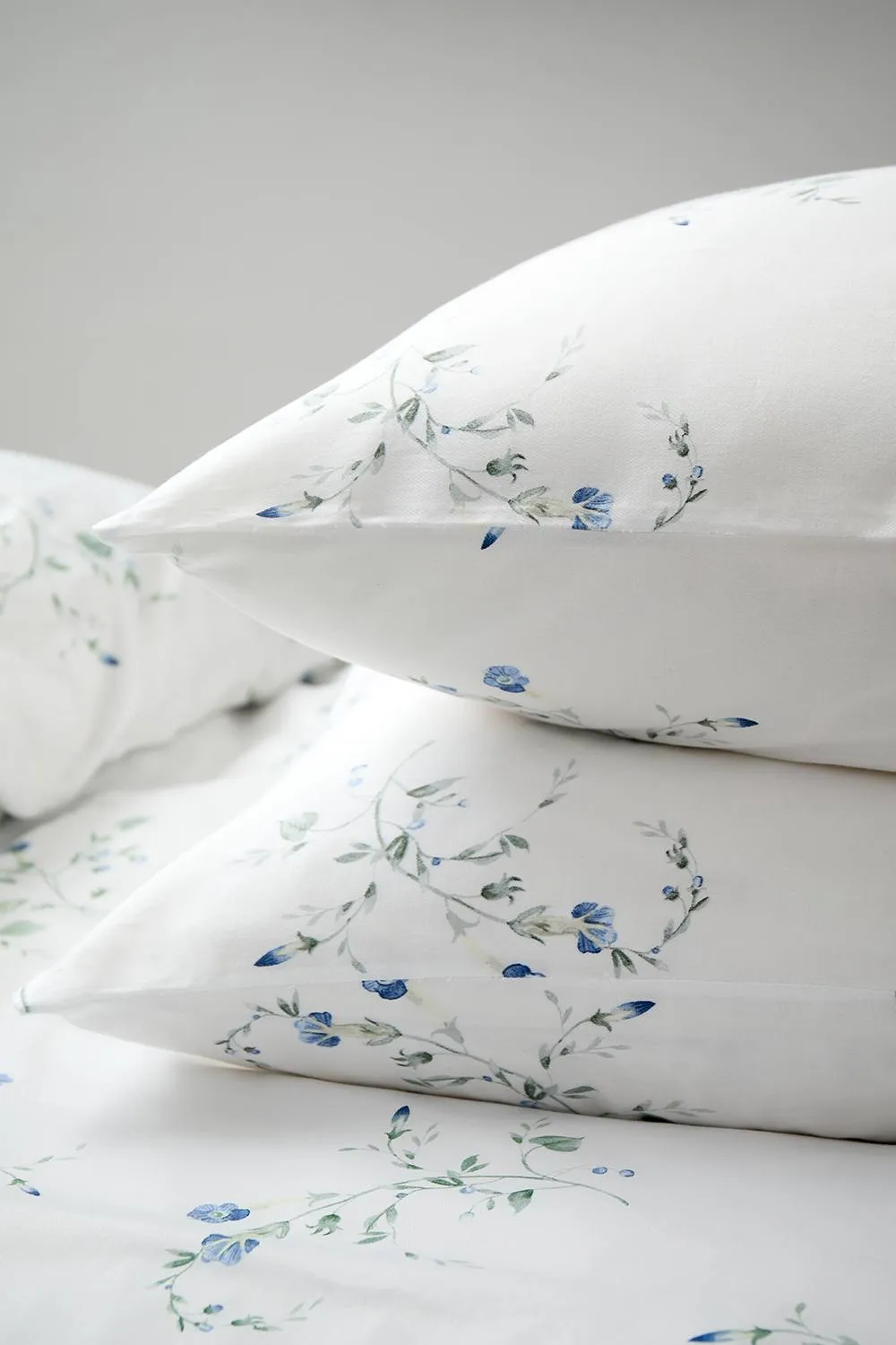 CHRISTY 'Forget Me Not' Wildflower Design Cotton Sateen Standard Pillowcase Pair in Blue