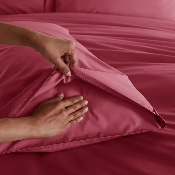 100% Egyptian Cotton 220 Thread Count Standard Pillowcase Pair 4