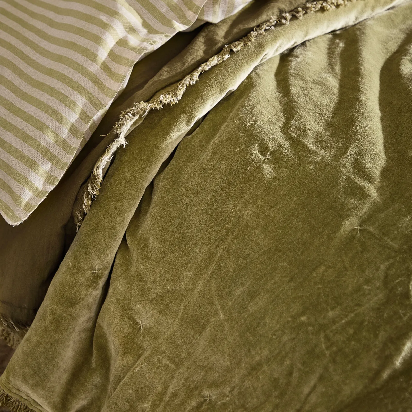 Yard Jaye Fringed Cotton Velvet Bedspread in Green 2