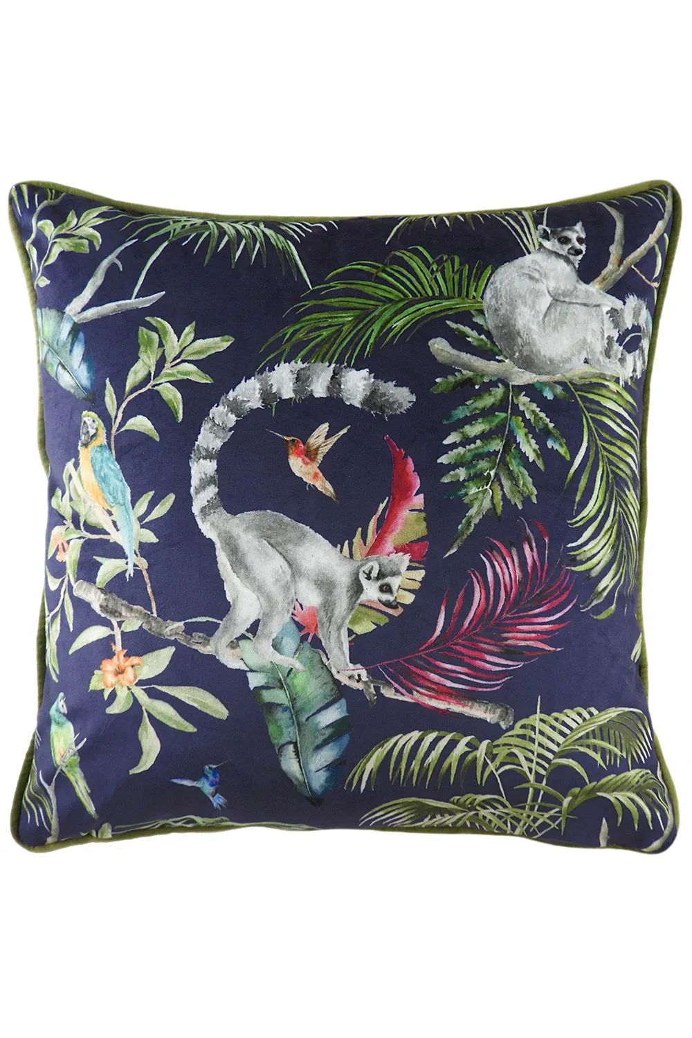 Evans Lichfield Jungle Lemur Velvet Piped Cushion in Blue
