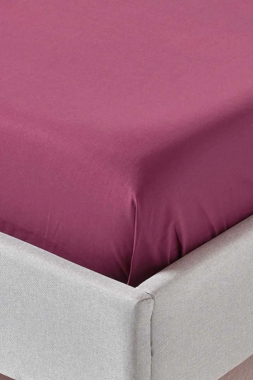 Homescapes Egyptian Cotton Flat Sheet 200 Thread Count in Plum 3