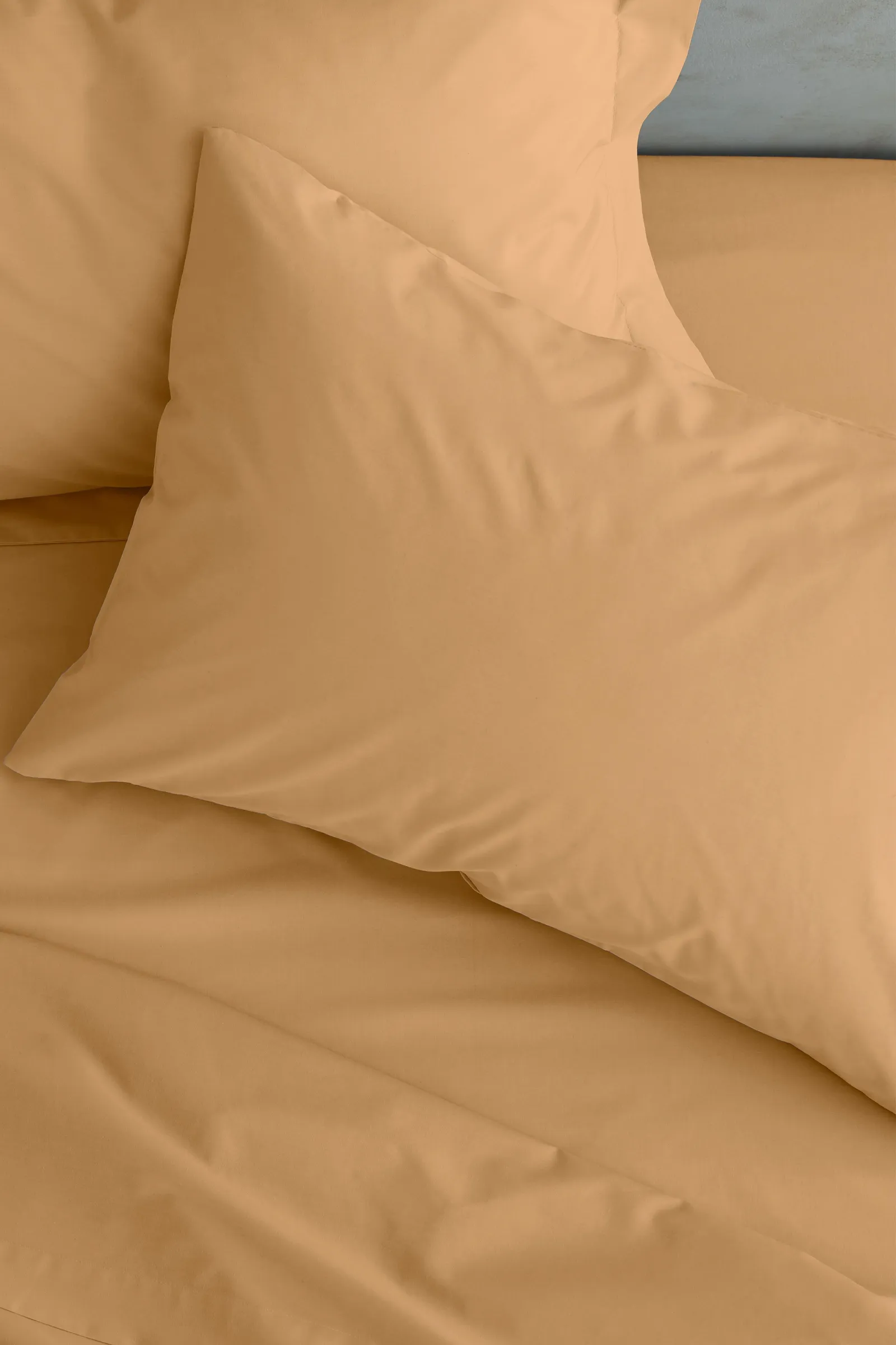 Catherine Lansfield 'Easy Iron Percale' Standard Pillowcase Pair in Camel