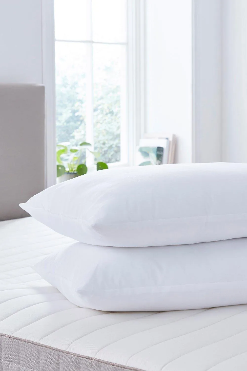 Eco Pure Pillow Pair