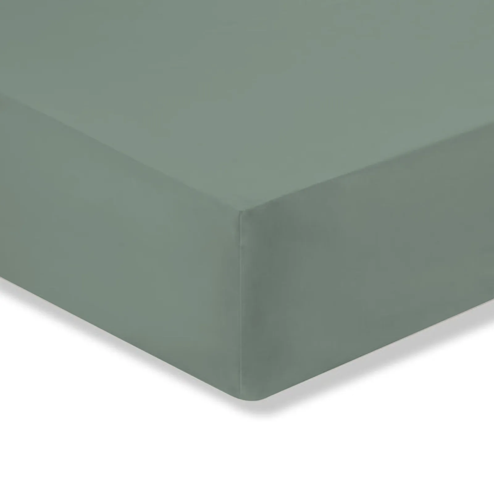 Plain 180 Thread Count Cotton Comfort Fitted Sheet Lilypad