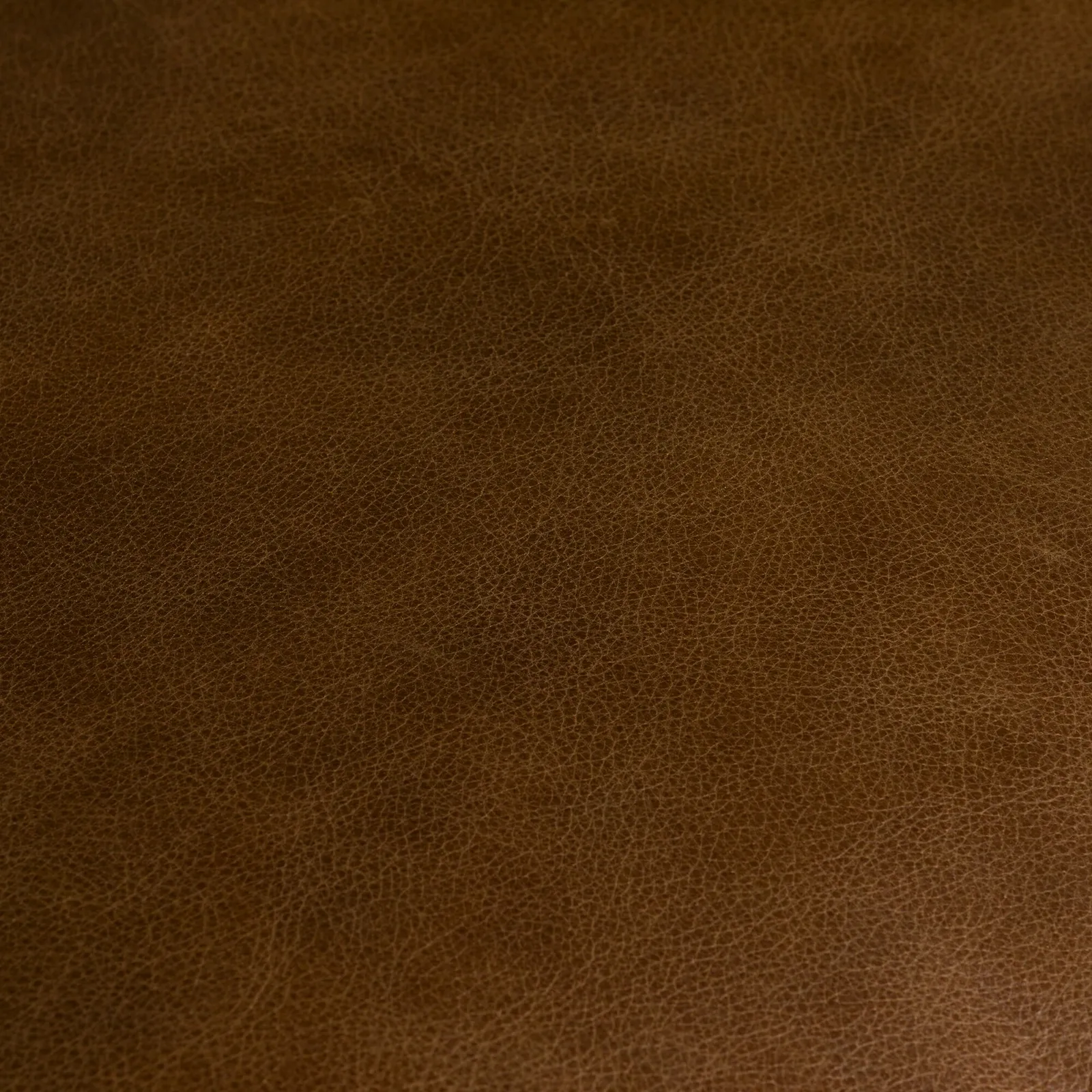 Bellagio Armchair Leather | Barker & Stonehouse 6