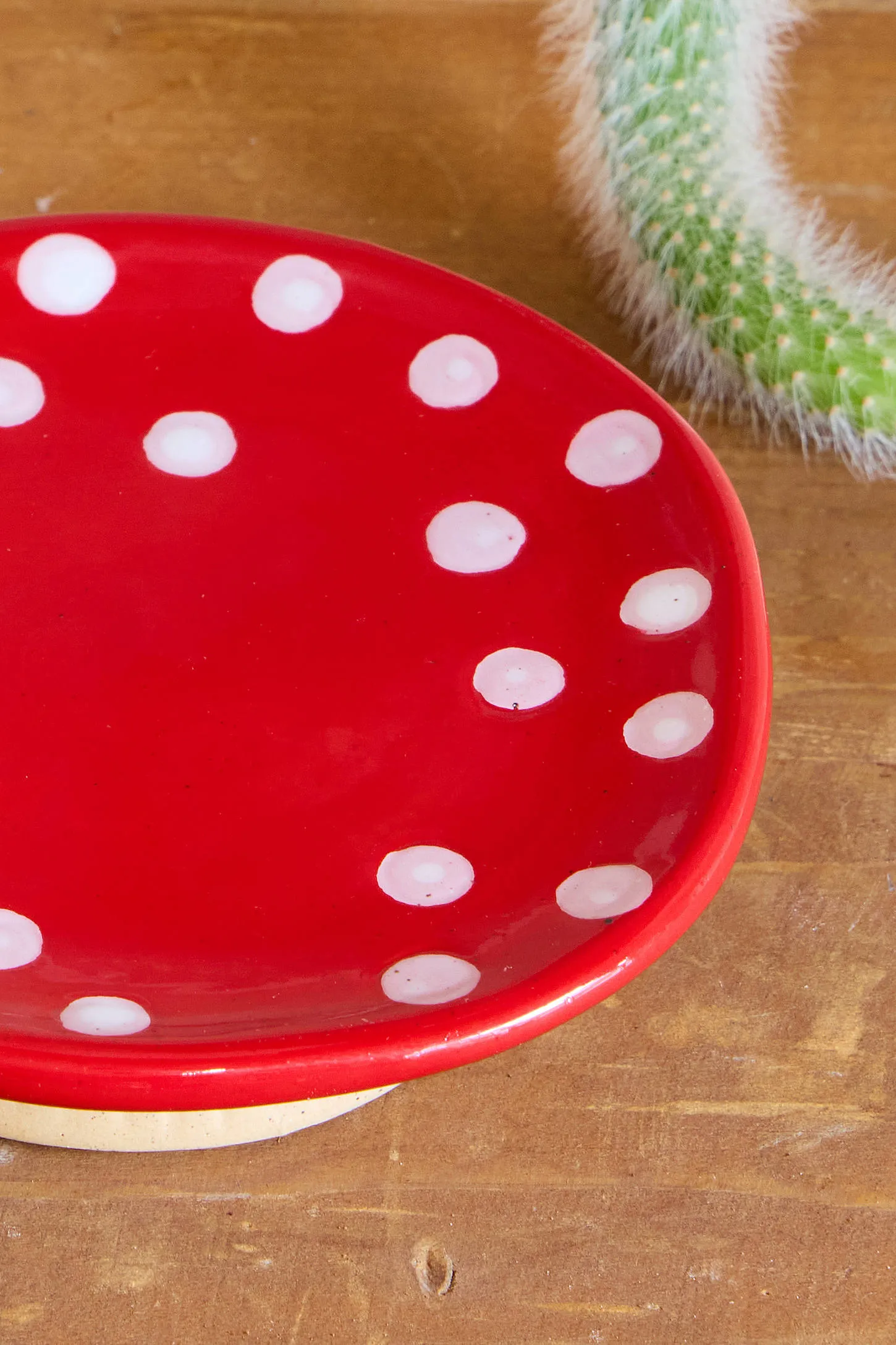 Sprouting Mushroom Soap Dish 4