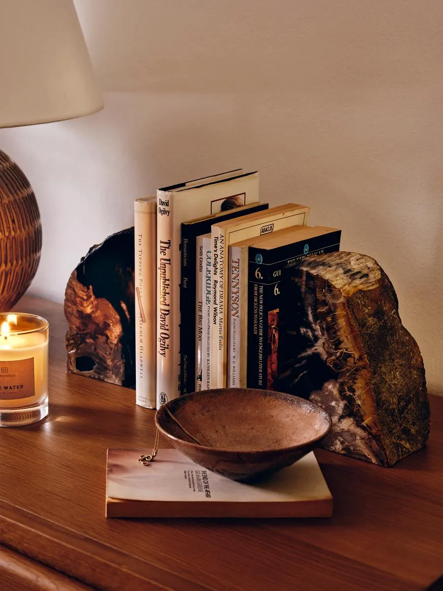 Balfern Petrified Wood Bookends