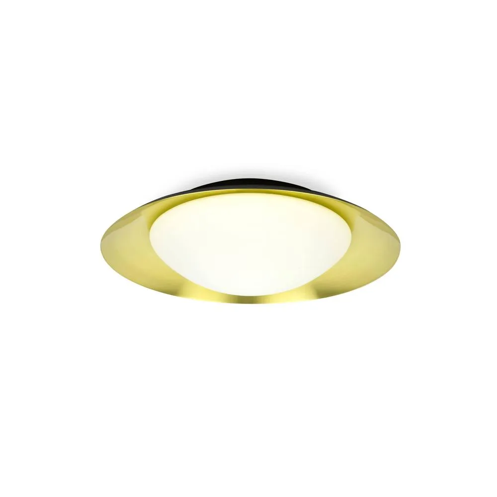 Netlighting Side LED Indoor Medium Flush Wall Light Black Gold