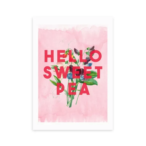 East End Prints Hello Sweet Pea Print by The 13 Prints 2