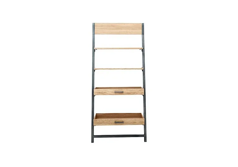 Earth Ladder Shelving Unit