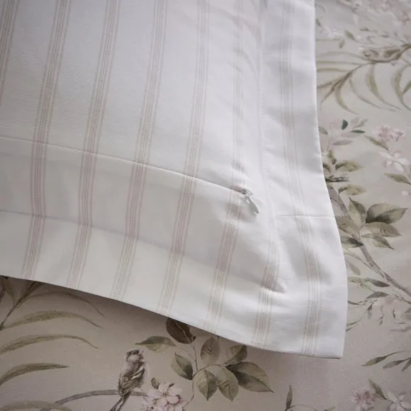 Dorma Birdsong 100% Cotton Sateen Oxford Pillowcase Pair 4