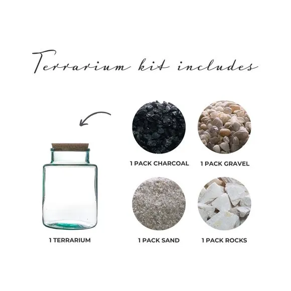 Bottle Shape Large Terrarium DIY Kit 3