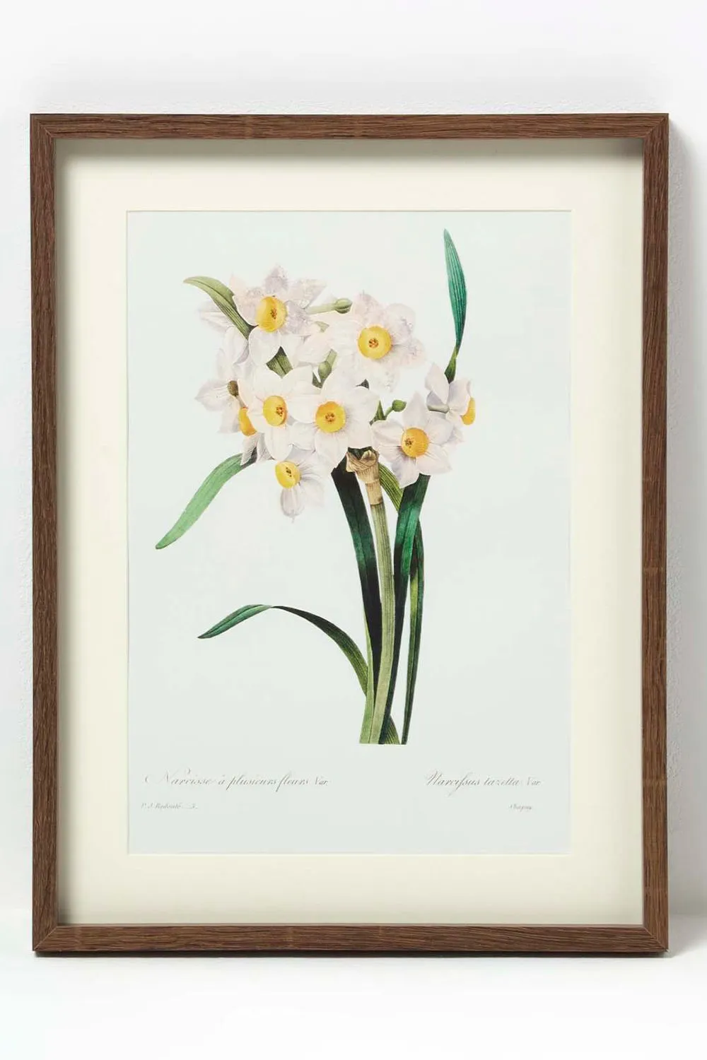 Homescapes Set of 2 Narcissus Flower Wall Art in Yellow 3