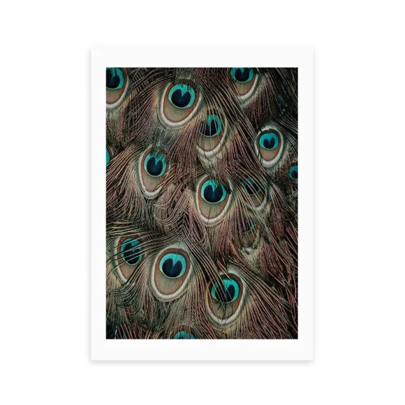 East End Prints Peacock Feathers Print 2