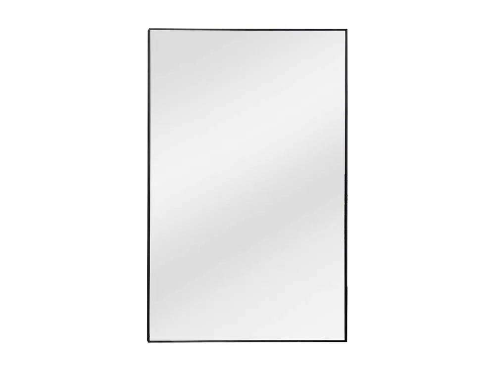 Vente-unique Large Rectangular Aluminium Mirror - L120 X H190 Cm - Black - MYRA 2