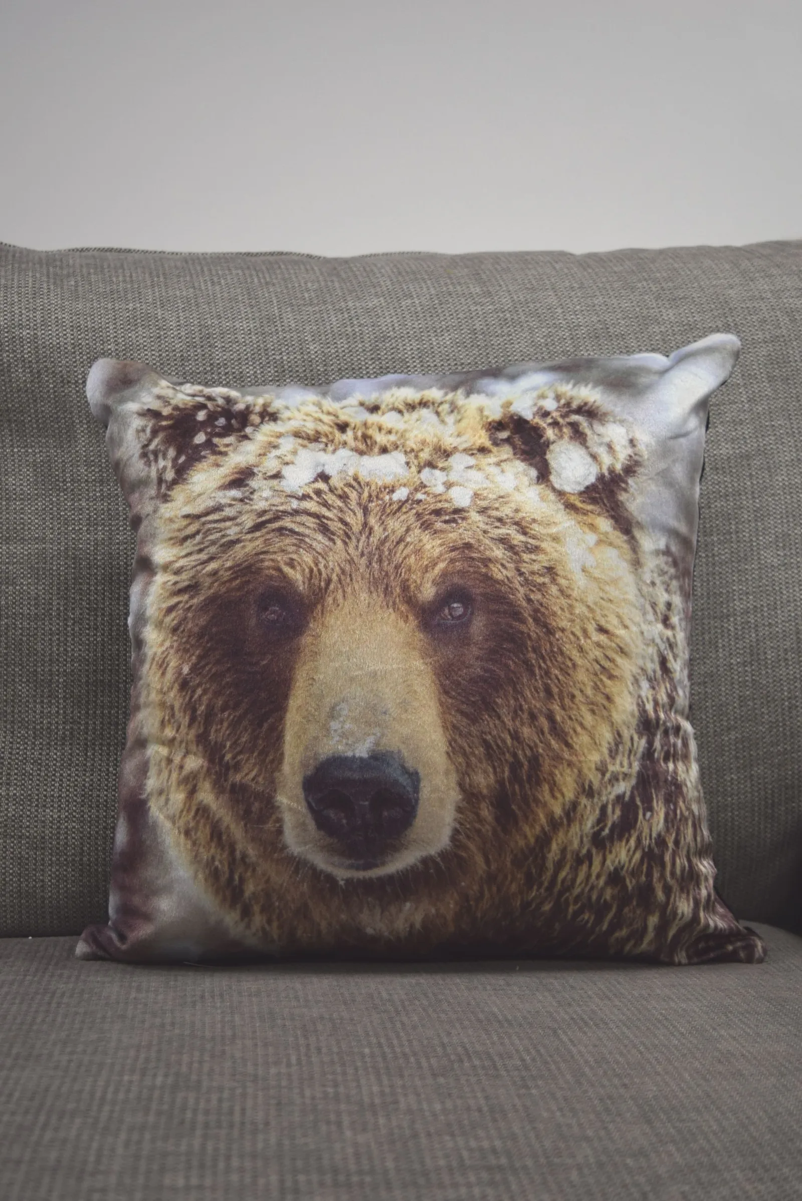 Rapport Home Big Bear Polyester Cushion Cover (43x43) Multicolor