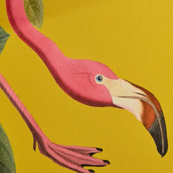 Flamingo Framed Canvas 2