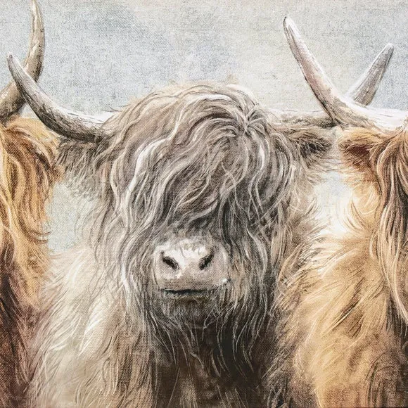 Cedar & Sage Three of a Kind Highland Cow Framed Canvas 2