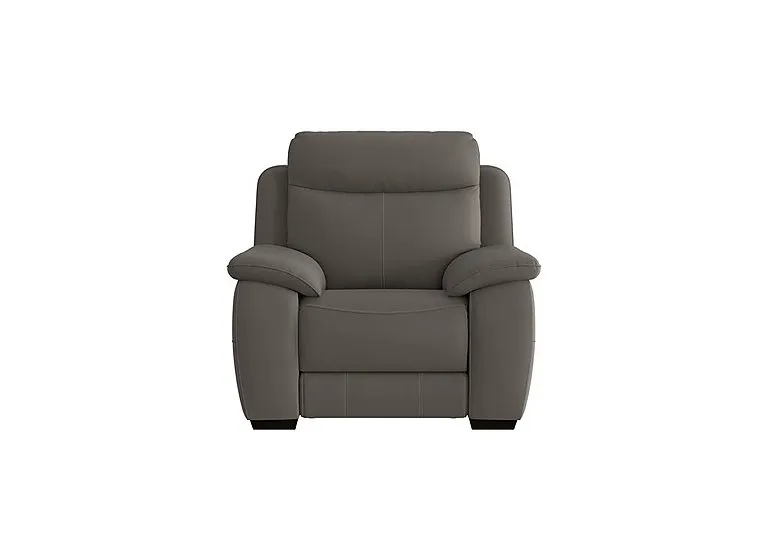 Starlight Express Leather Armchair - BV Elephant