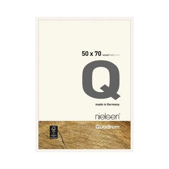 Nielsen Quadrum Photo Frame 1