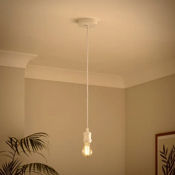 Charlie Industrial Adjustable Pendant Flex Ceiling Light Cable 2