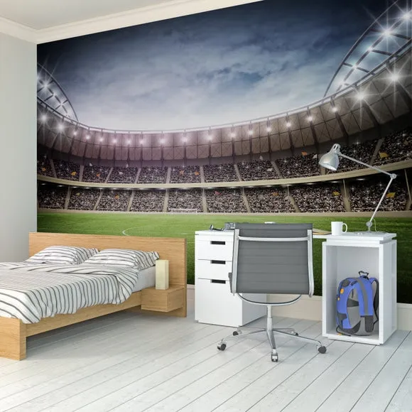 Football Stadium Wall Mural 2