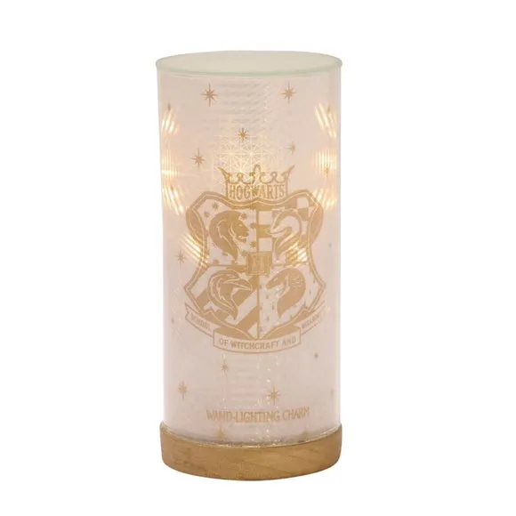 Harry Potter Alumni Lumos LED Tube Light 3
