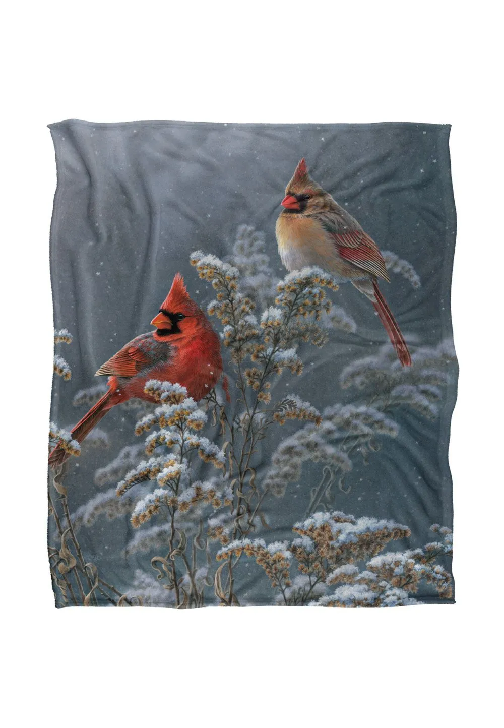 JQ Licensing Lz Winter Cardinals Silky Touch Super Soft Throw Blanket 152 X 127 cm in White