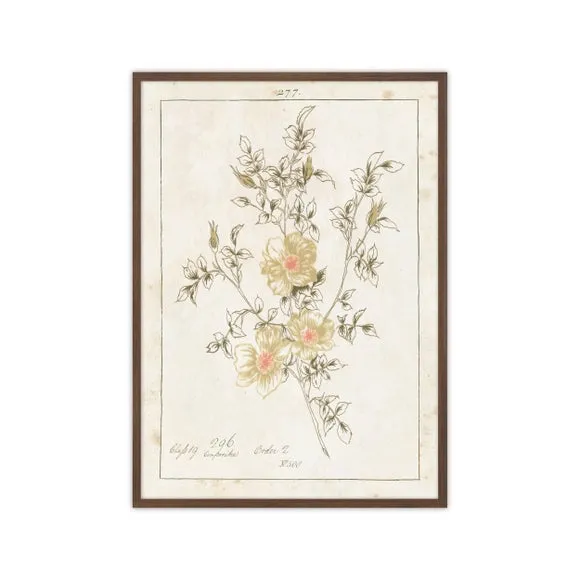 Artko Vintage Floral Whisper 2 Framed Print 3