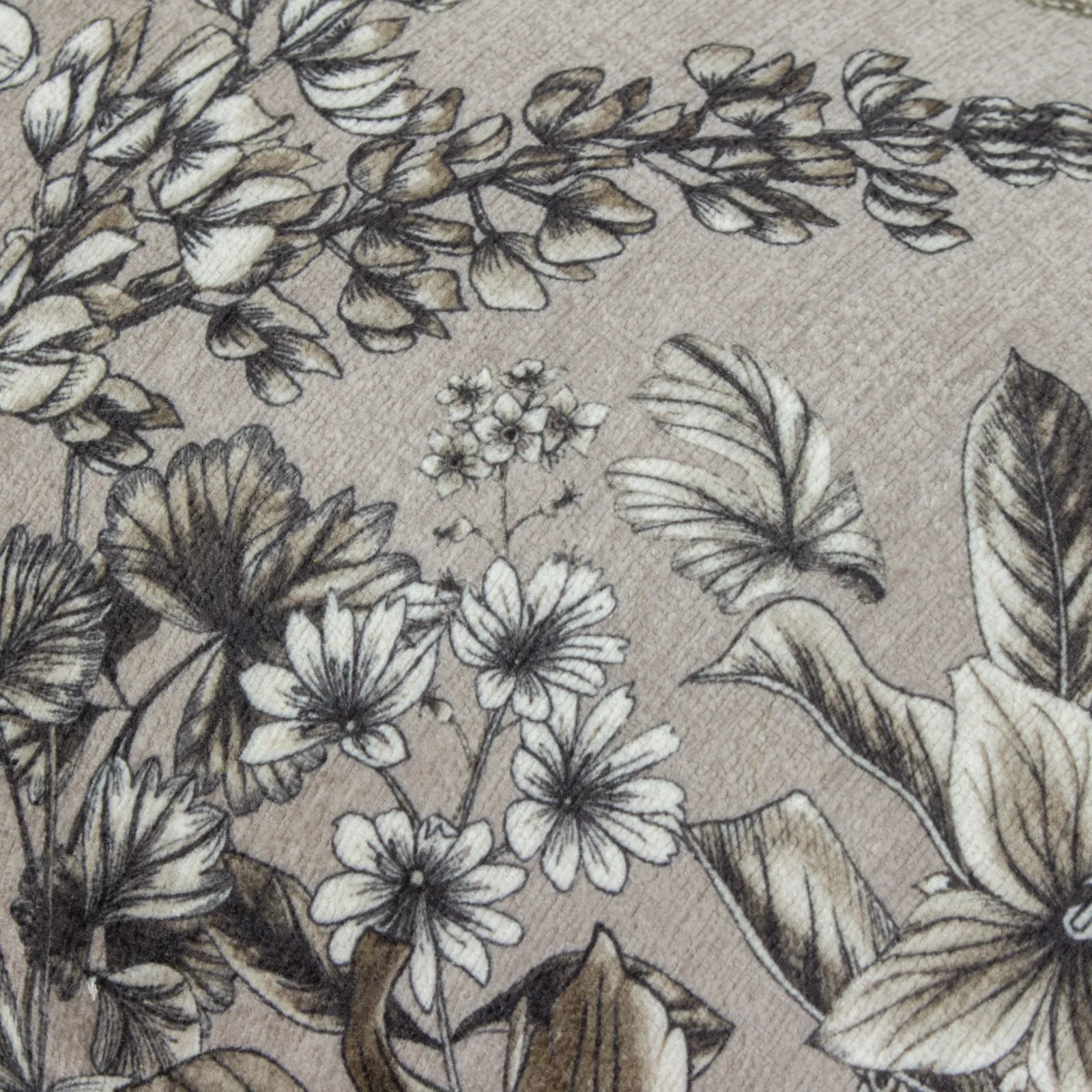 Wylder Harlington Gardenia Floral Piped Cushion in Beige 5
