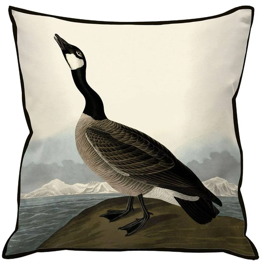 John James Audubon Hutchin Barnacle Goose Filled Cushion in Black