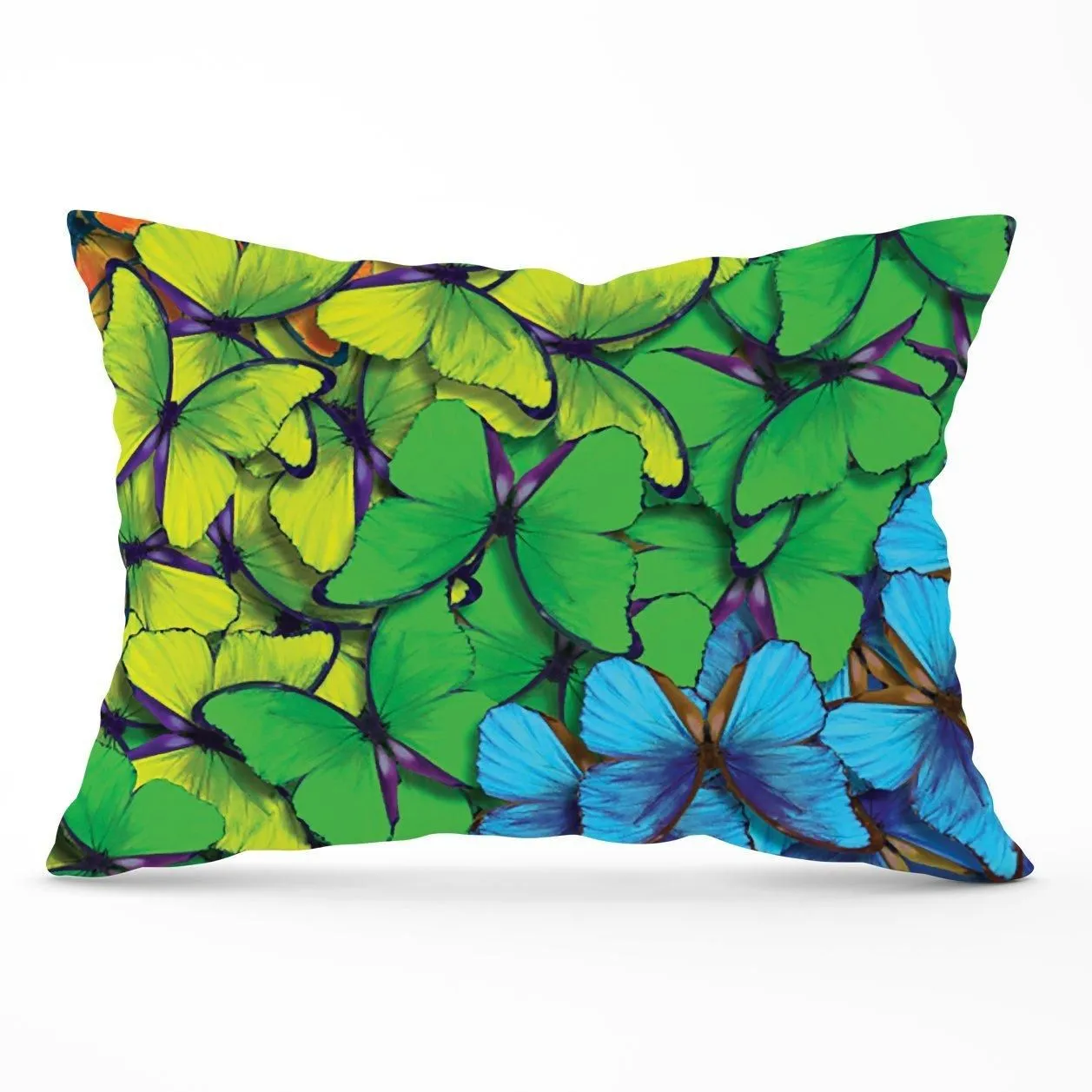 Warren Reed - Designer Multicoloured Butterflies Cushions in Green