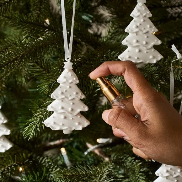 Winter Berries Scented Hanging Decorations 2