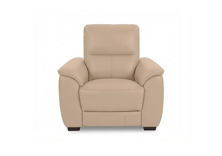 Saffron Leather Chair - BV Pebble