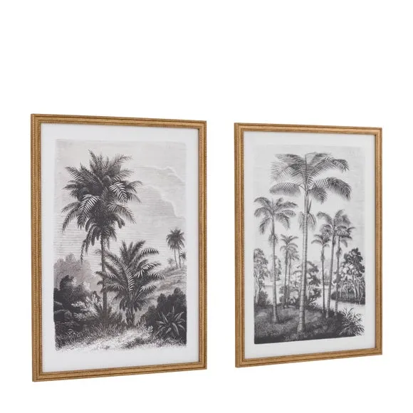 Cedar and Sage Set of 2 Palm Drawing Framed Prints 6