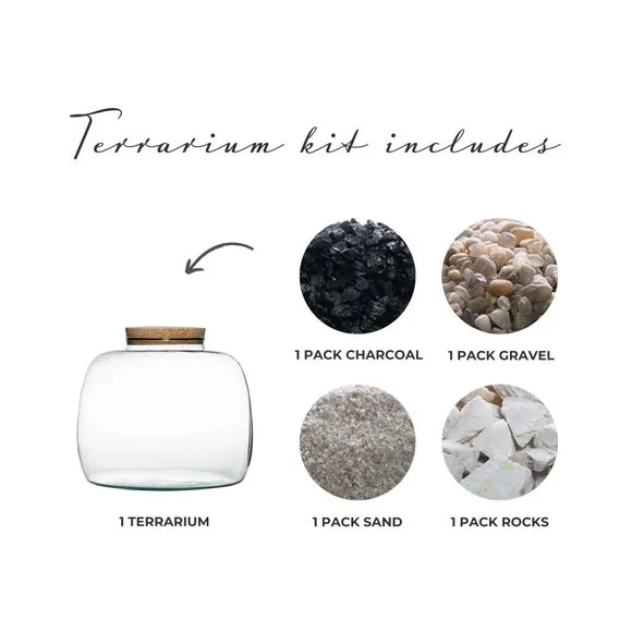 Bowl Shape Large Terrarium DIY Kit 4