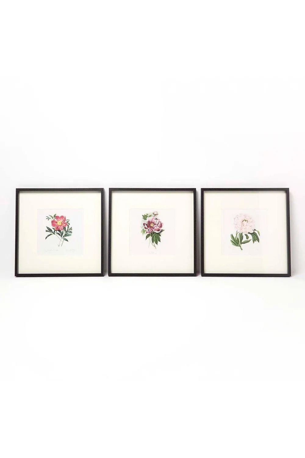 Homescapes Wall Decoration Set of 3 Frames with Picture, Peonies