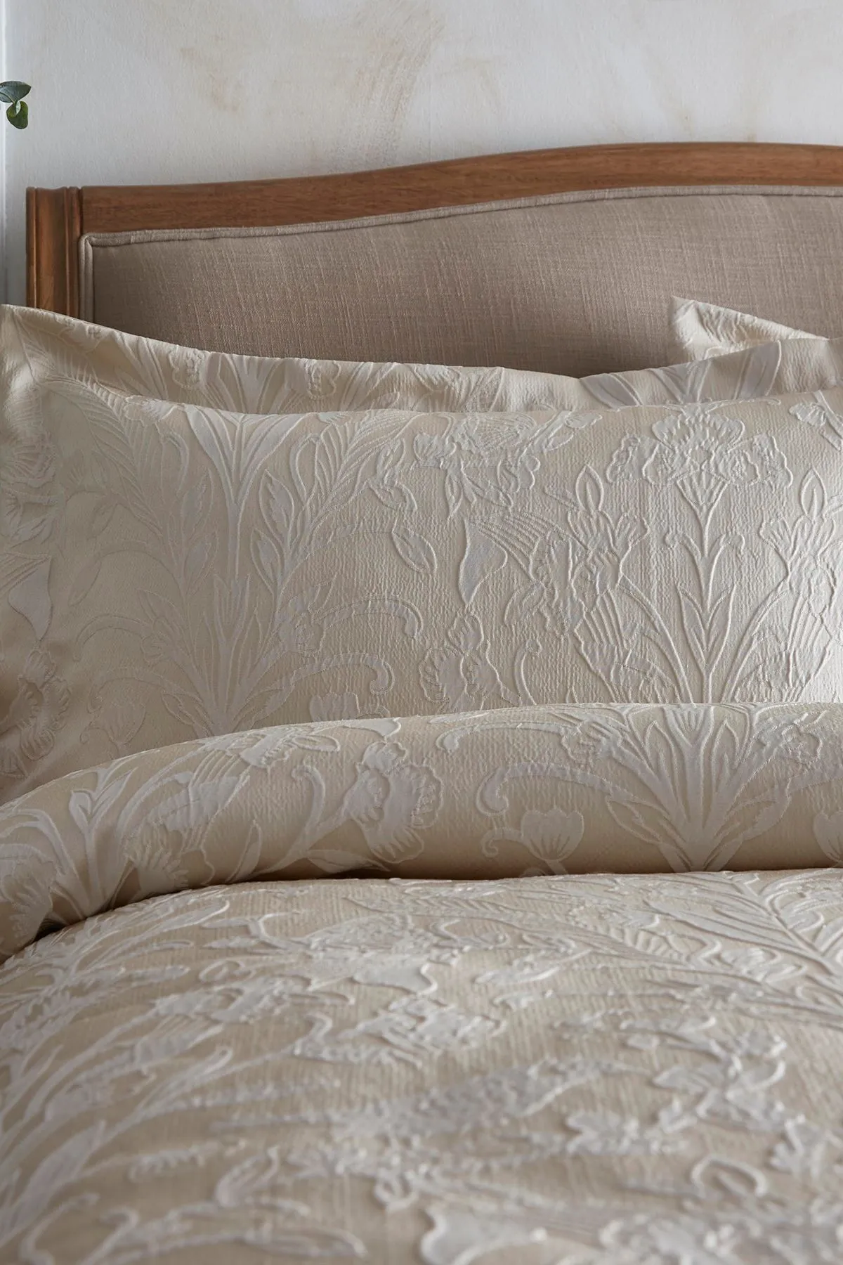 Appletree 'Elysia' Floral Jacquard Single Oxford Pillowcase in Beige