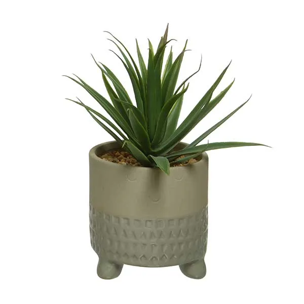 Small Beige Pot Plant