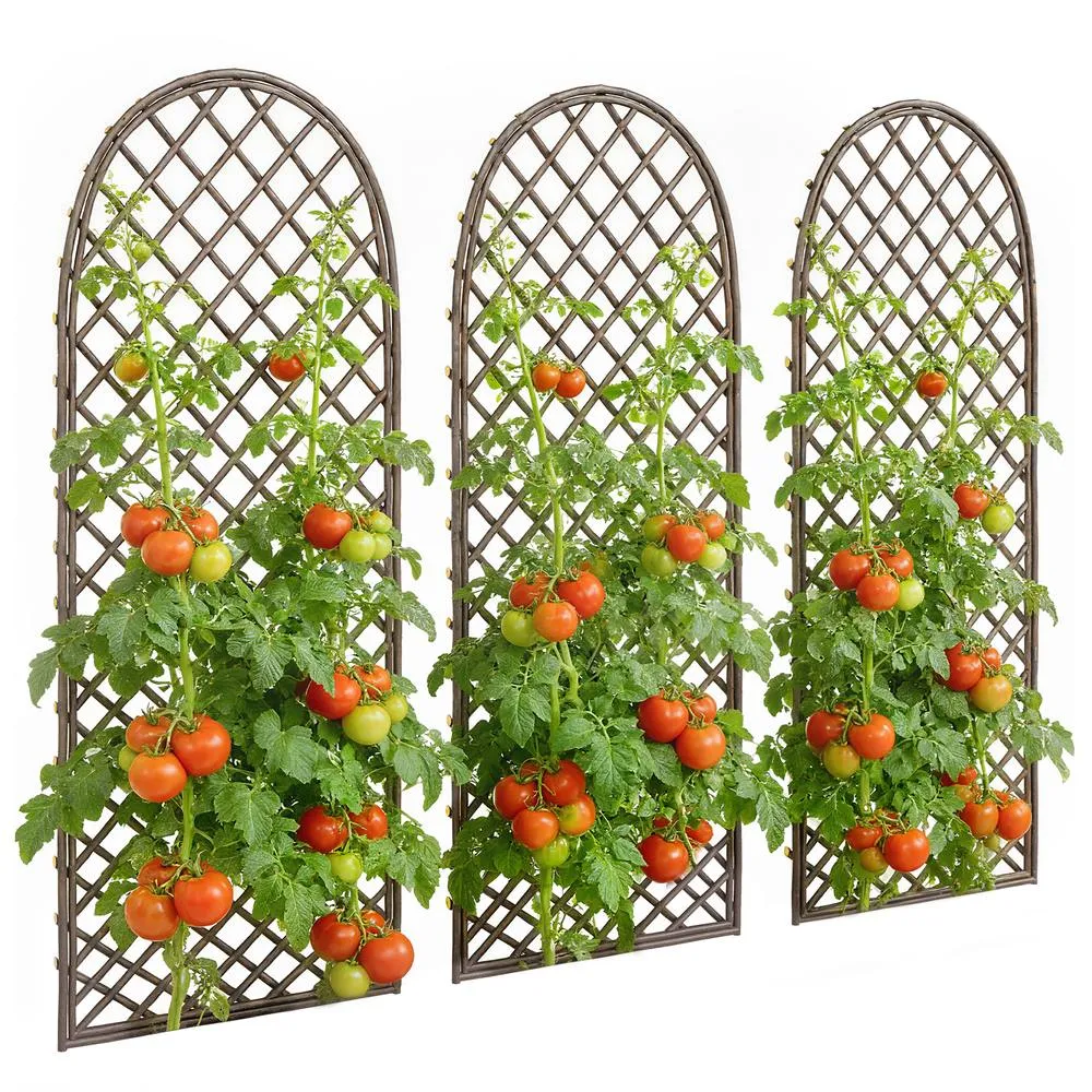 OUTSUNNY Garden Trellis, Decorative Trellis Panels with Dome Top, Natural 2